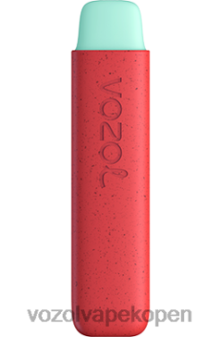 VOZOL Prijs - VOZOL STAR 550 appel perzik NFHBL138