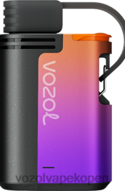 VOZOL Vape België - VOZOL GEAR 4000c/6000 bosbessenstorm NFHBL324