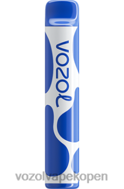 VOZOL Vape België - VOZOL JOYGO 600 bosbessen storm NFHBL390