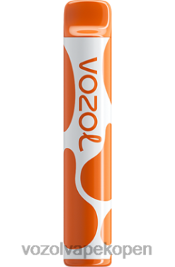 VOZOL Vape België - VOZOL JOYGO 600 koffie NFHBL379