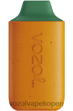 VOZOL Vape Kopen Belgie - VOZOL STAR 6000 mango perzik watermeloen NFHBL120