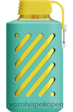 VOZOL Vape Kopen - VOZOL GEAR 10000 miami munt NFHBL298