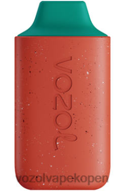 VOZOL Vape Kopen - VOZOL STAR 6000 drakenfruit watermeloen NFHBL111