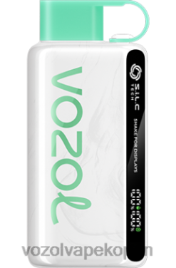 VOZOL Vape Kopen - VOZOL STAR 9000/12000 watermeloen kauwgom NFHBL34