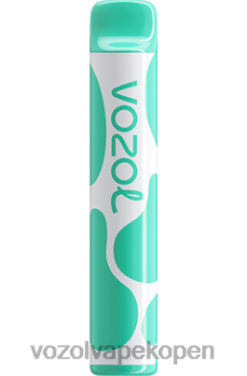VOZOL Vape Prijs - VOZOL JOYGO 600 menthol NFHBL387