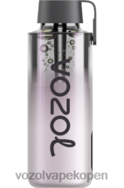 VOZOL Vape Prijs - VOZOL NEON 10000 koele munt NFHBL233