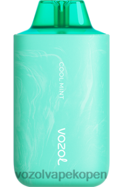 VOZOL Vape Prijs - VOZOL STAR 6000/8000 v2 koele munt NFHBL57