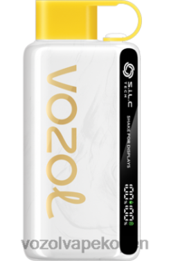 VOZOL Vape Prijs - VOZOL STAR 9000/12000 ananas-kokosijs NFHBL46