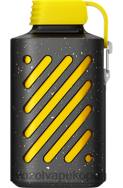 VOZOL Vapes Kopen - VOZOL GEAR 10000 kiwi-passievrucht-guave NFHBL295