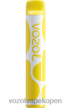 VOZOL Vapes Kopen - VOZOL JOYGO 600 citroentaart NFHBL383