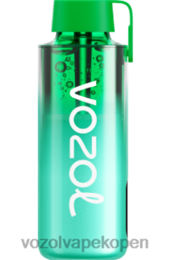VOZOL Vapes Kopen - VOZOL NEON 10000 miami munt NFHBL229