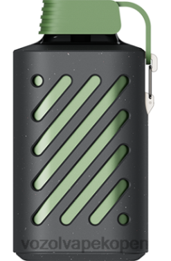 VOZOL Vapes - VOZOL GEAR 10000 zuur appelijs NFHBL308