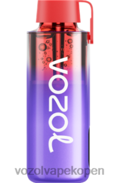 VOZOL Vapes - VOZOL NEON 10000 blauw razz-ijs NFHBL231
