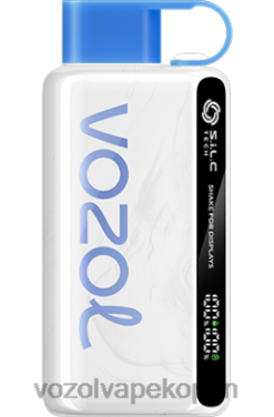 VOZOL Vapes - VOZOL STAR 9000/12000 bosbessen storm NFHBL22