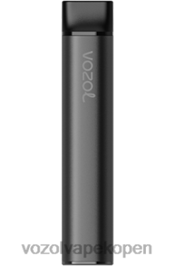 VOZOL Vapes - VOZOL SWITCH 600 bramen ijs NFHBL220
