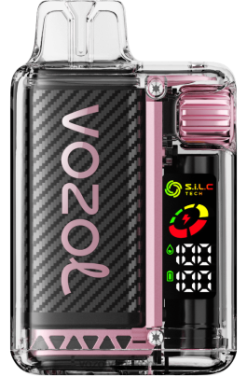 VOZOL Vapes - VOZOL VISTA 16000/20000 perzik ijs NFHBL11